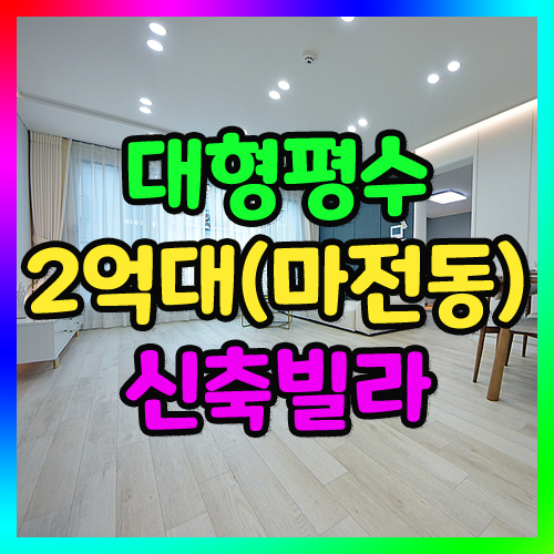 마전동신축빌라 인천 검단구 16세대 거실큰집 2억대추천