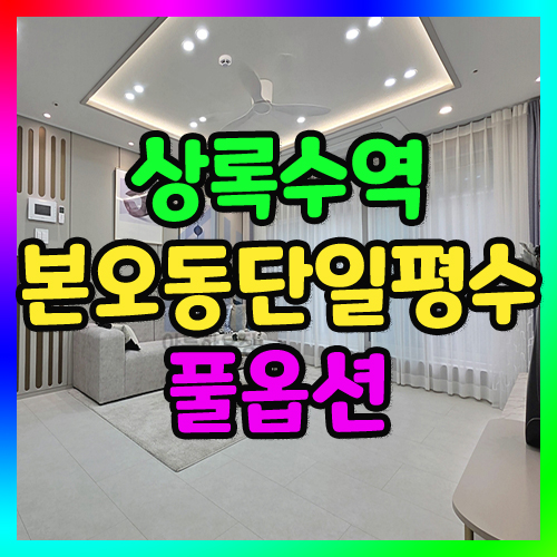 본오동신축빌라분양 평생 조망권과 남향집으로 초품아 위치 안산빌라매매